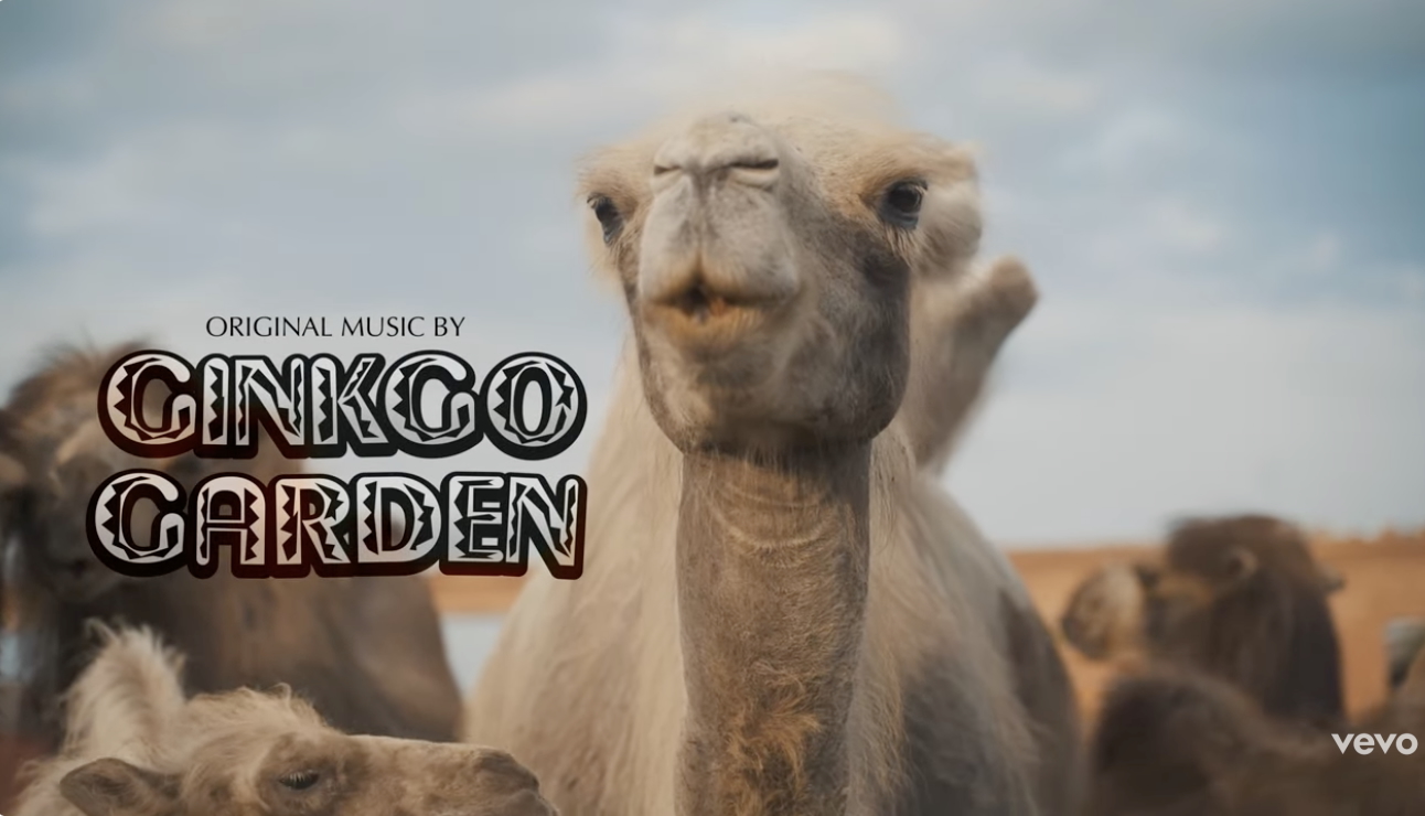 Ginkgo Garden - Secret Call Ginkgo Garden - Secret Call